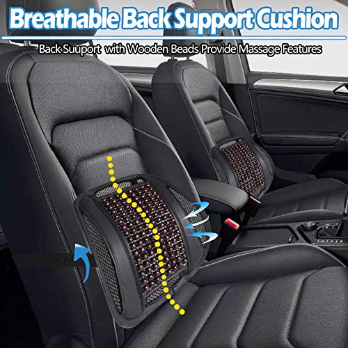 Big Ant Lumbar Support Pillow Back Support for Car Office Chair